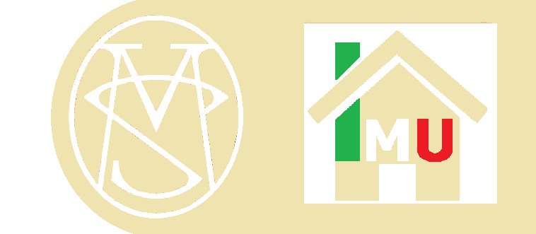 Imu 01