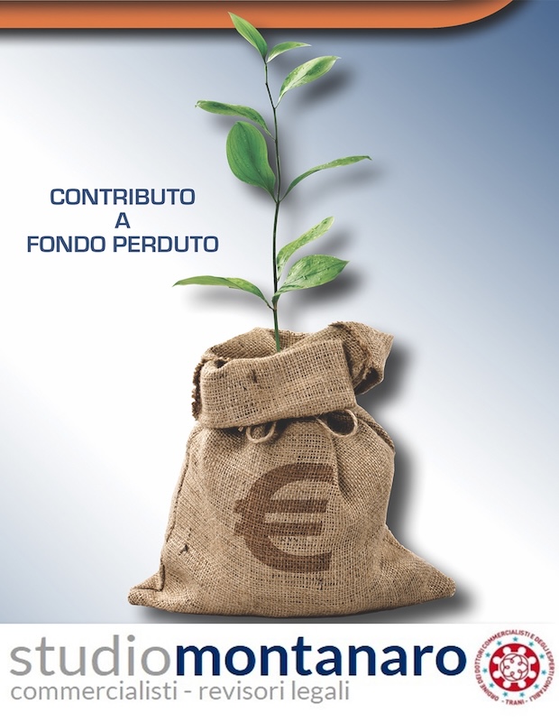 FONDO PERDUTO AGENZIA ENTRATE – DAL 15 GIUGNO SI POTRANNO TRASMETTERE LE PRATICHE